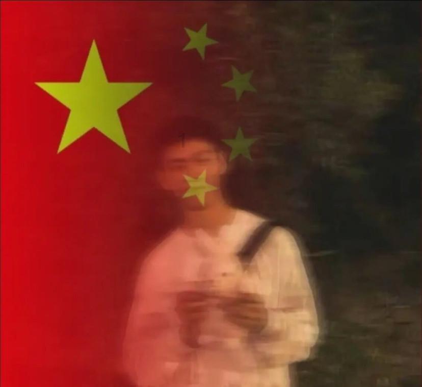 美妙森林找不同